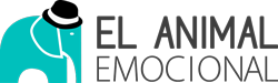 Visit our website